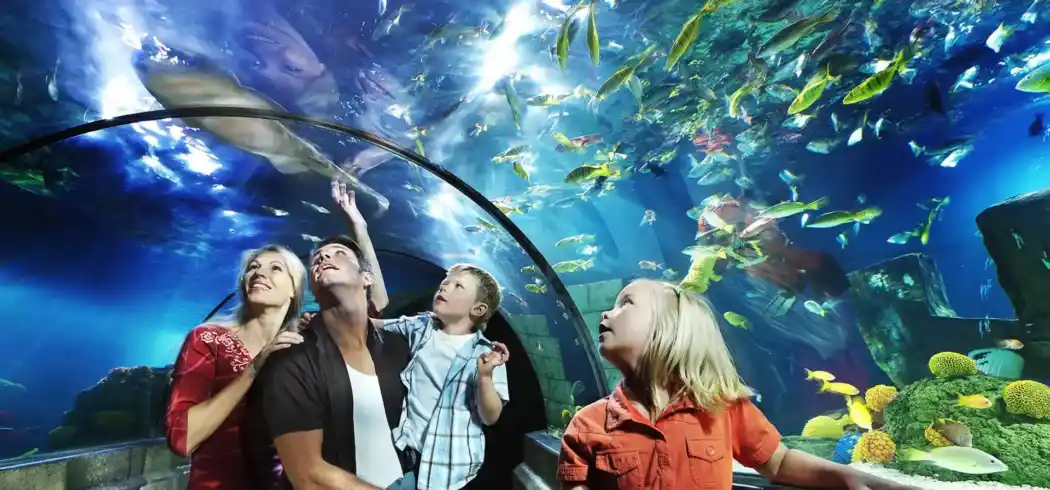 Legoland Sea - Bild 1