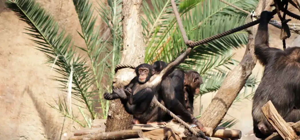 Ansicht - Leipzig Hotelübernachtung