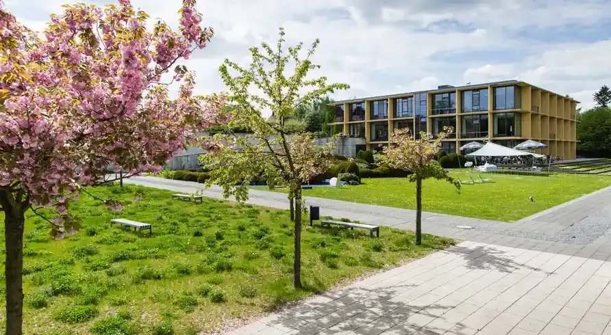 Foto - Lichtenwalde Nächte