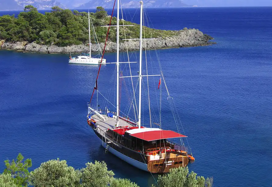 Blaue Reise - Foto 2