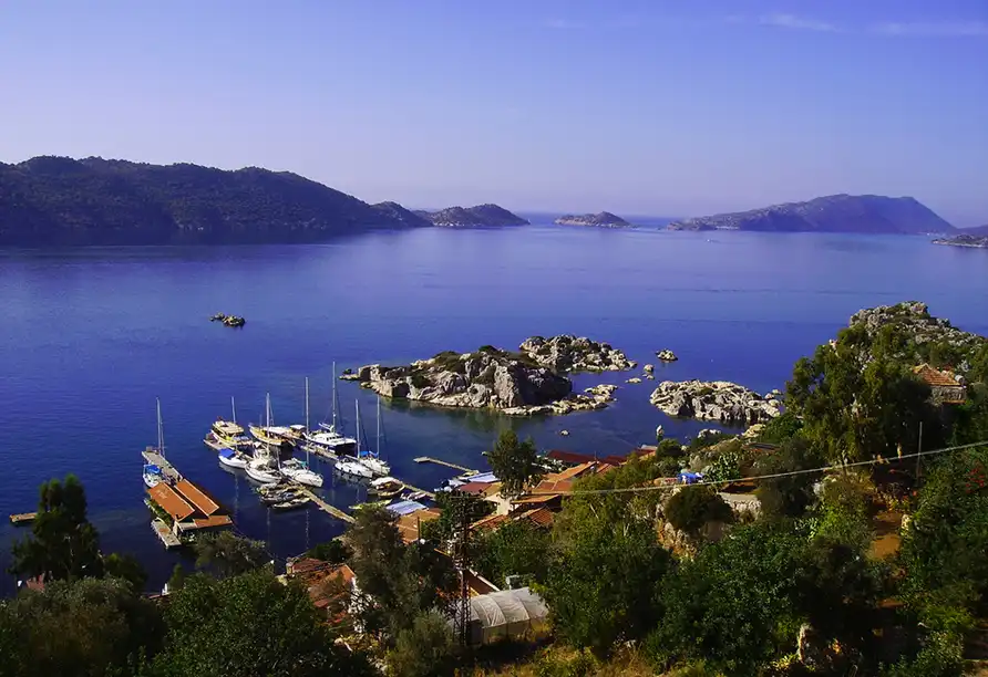 Blaue Reise - Detailaufnahme 3