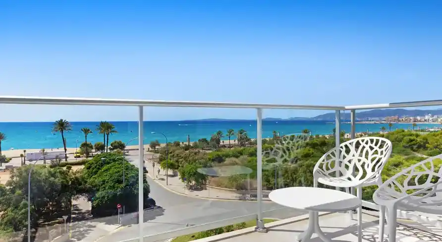 Foto - Mandelblüte Mallorca