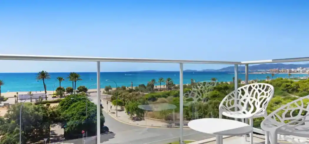 Foto - Mandelblüte Mallorca