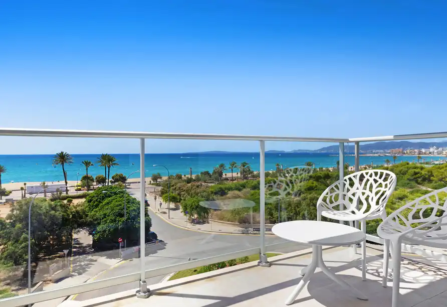 Aufnahme - Mandelblüte Mallorca