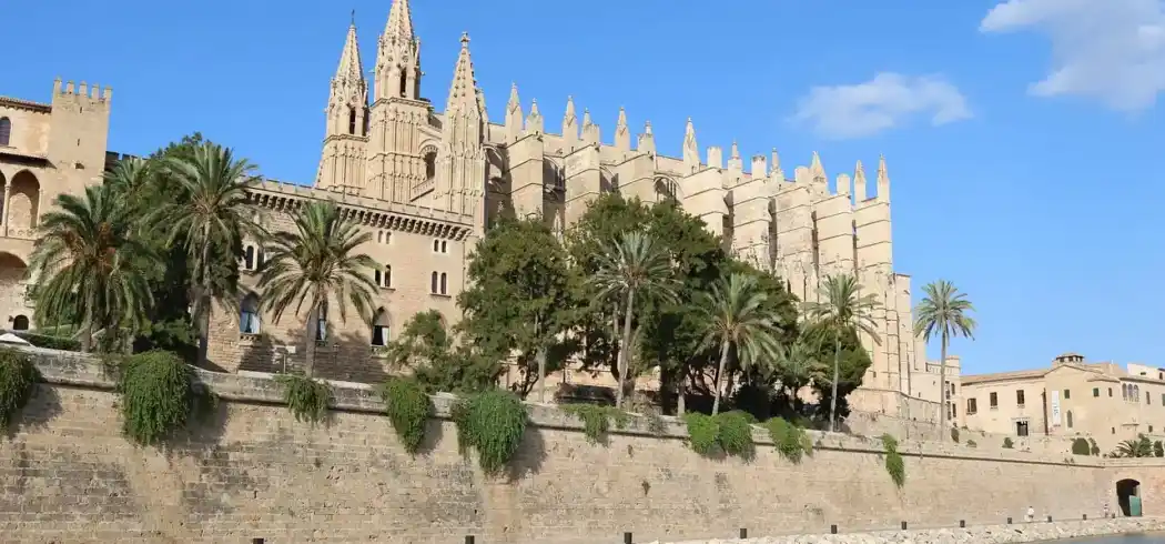Foto - Mandelblüte Frühlingserwachen