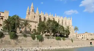 Mandelblüte Mallorca 2026