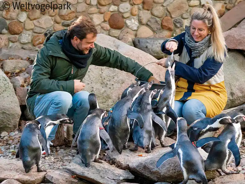 Galerie - Lüneburger Heide