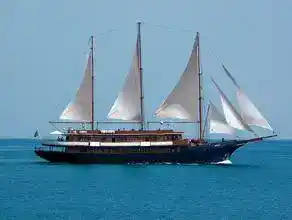 Foto - Motorsegler Galileo