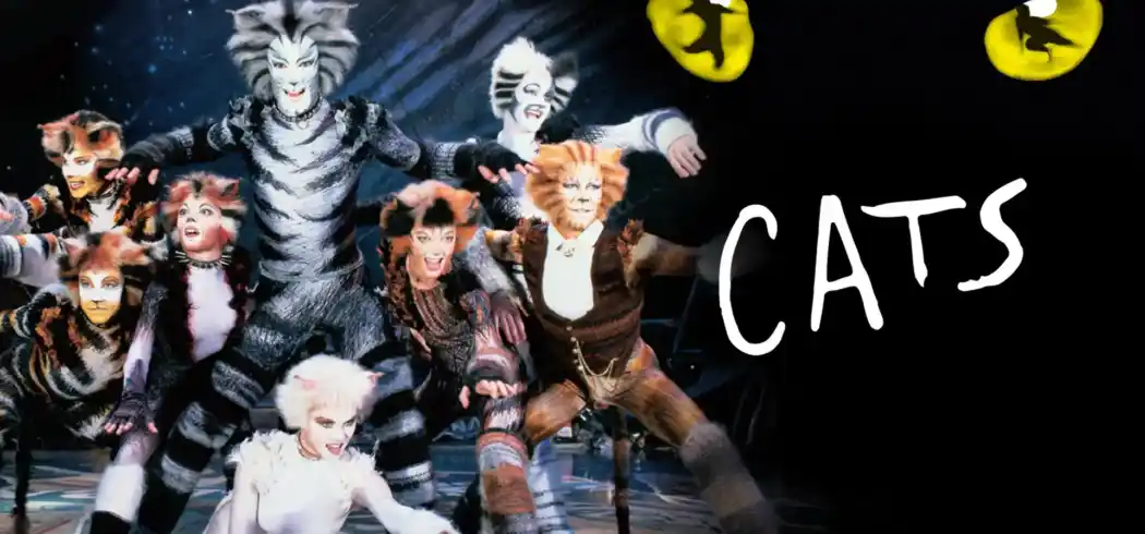 Foto - Musical Cats