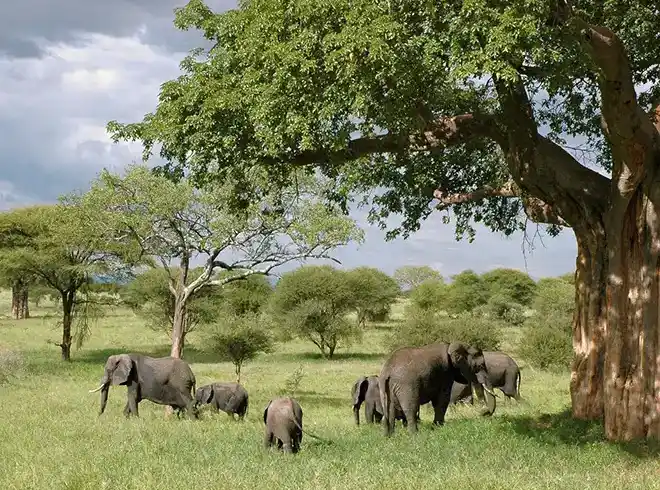 Foto - Namibia Rundreise