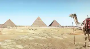 Hotel Coral Sun Beach in Safaga