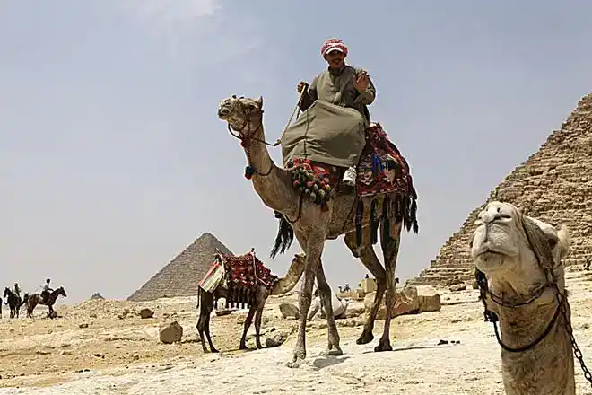 Foto - Nilkreuzfahrt Baden