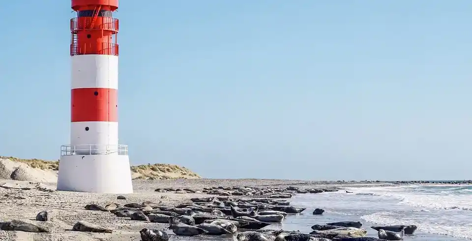 Foto - Nordsee Urlaub