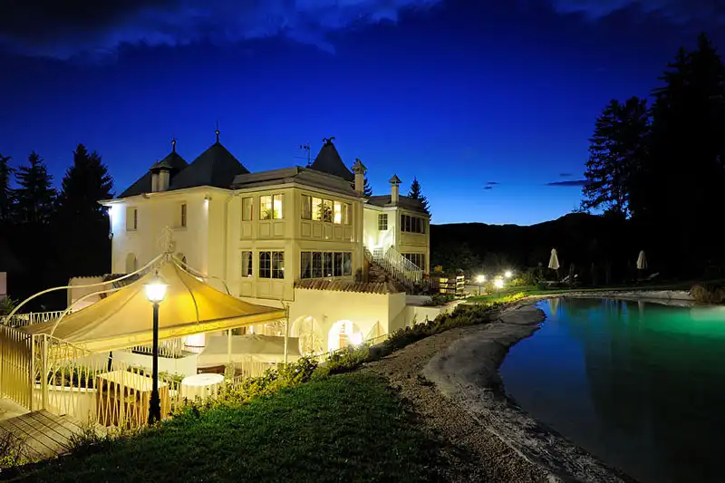 Impression - Orso Grigio