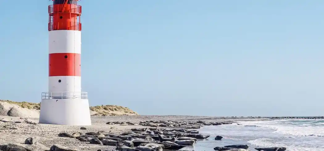 Foto - Hotel Aquantis Bensersiel