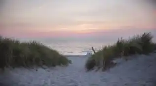 Angebotsbild