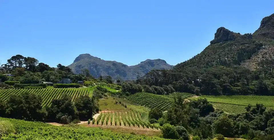 Foto - Pfalz Südliche