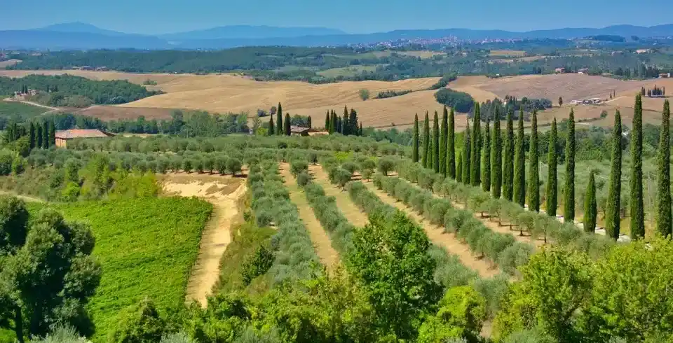 Foto - Piemont Ligurien