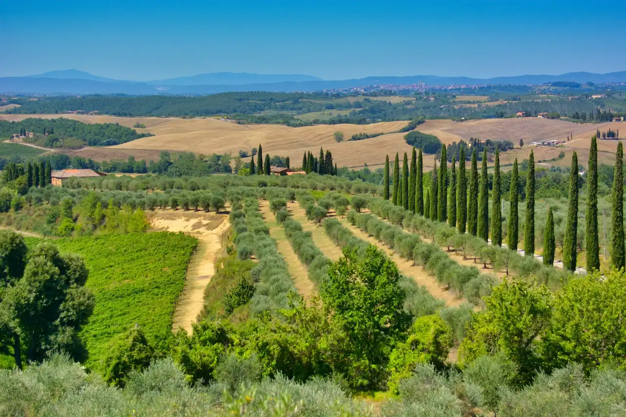 Aufnahme - Pkw Rundreise