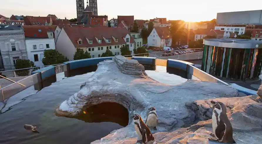 Stralsund Nächte - Bild 2