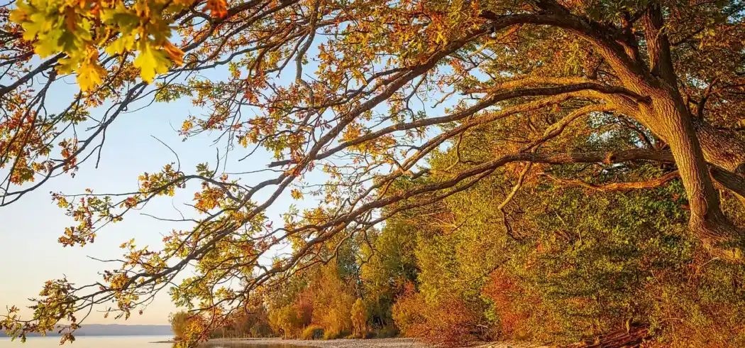 Foto - Radreise Münchner