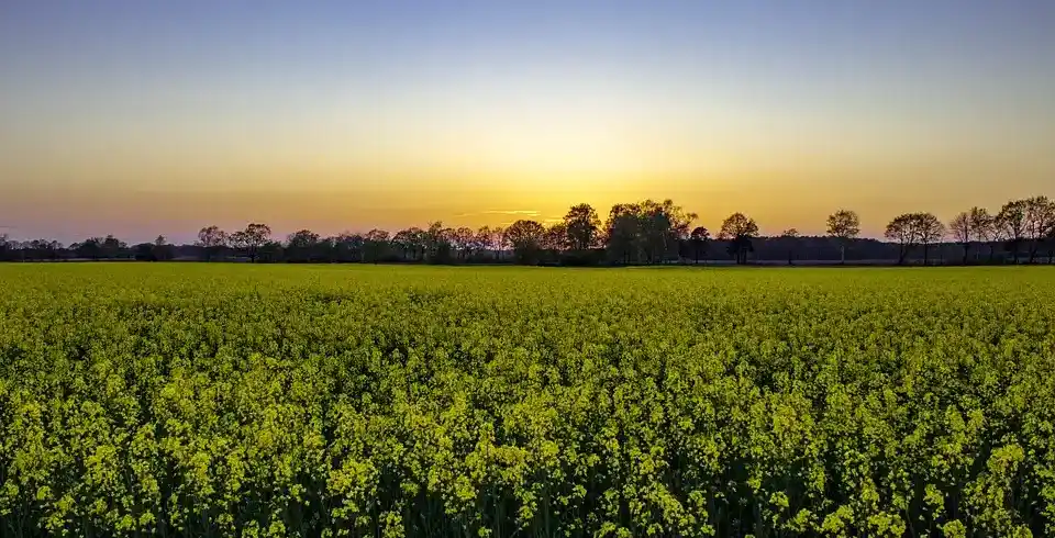 Foto - Radrundreise Lüneburger Heide