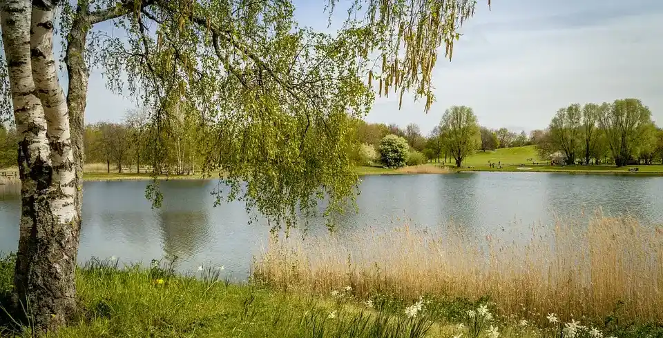 Foto - Radrundreise Berliner