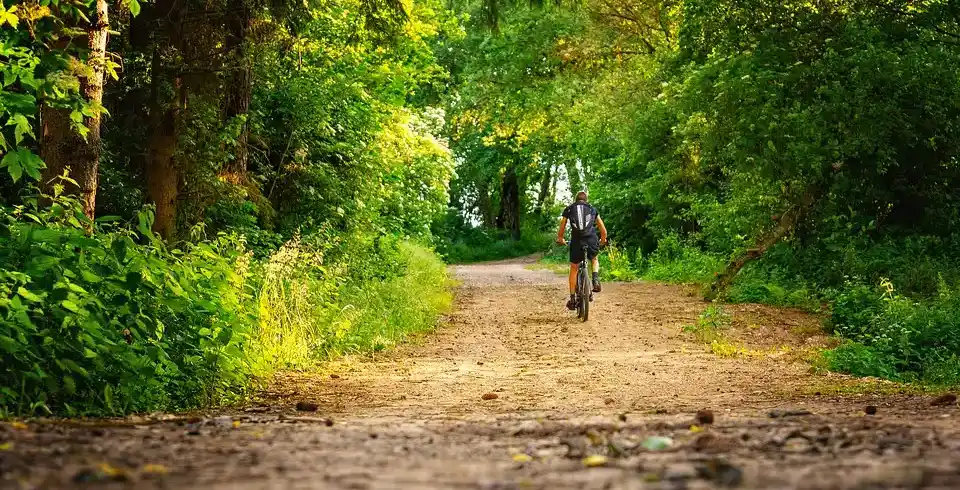 Urlaub Spreewald - Bild 1