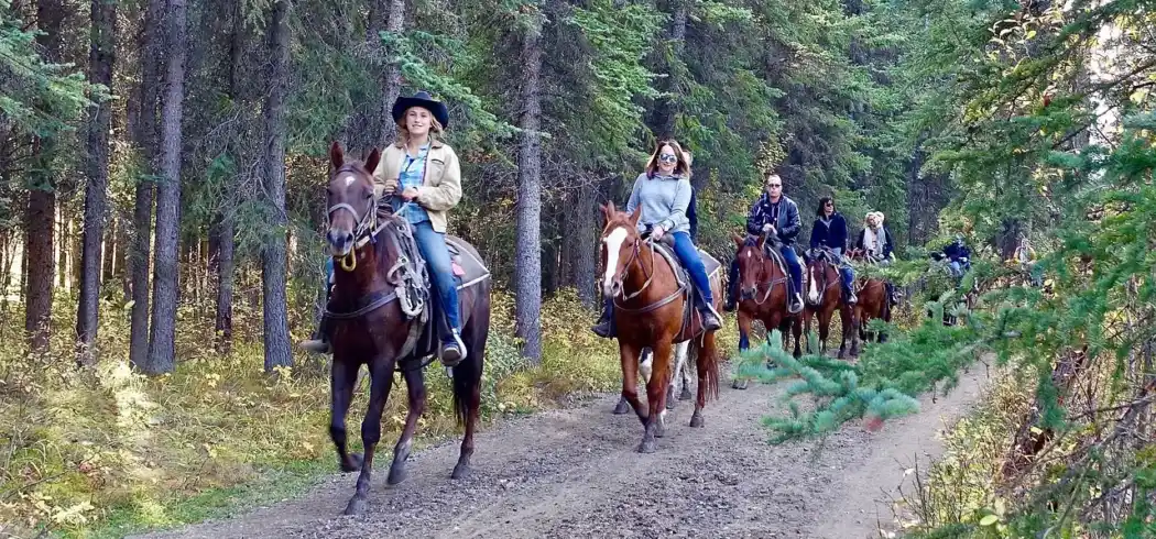 Foto - Reiterhof Runding