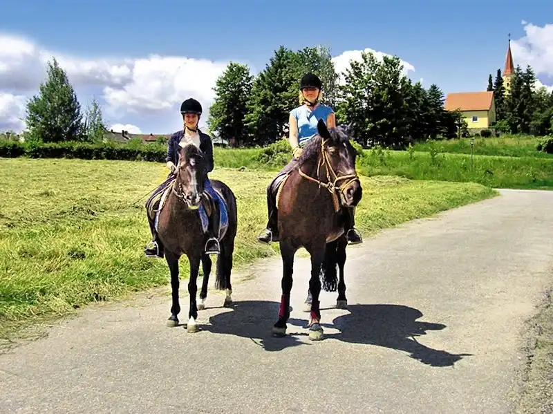 Aufnahme - Urlaub Reiterhof