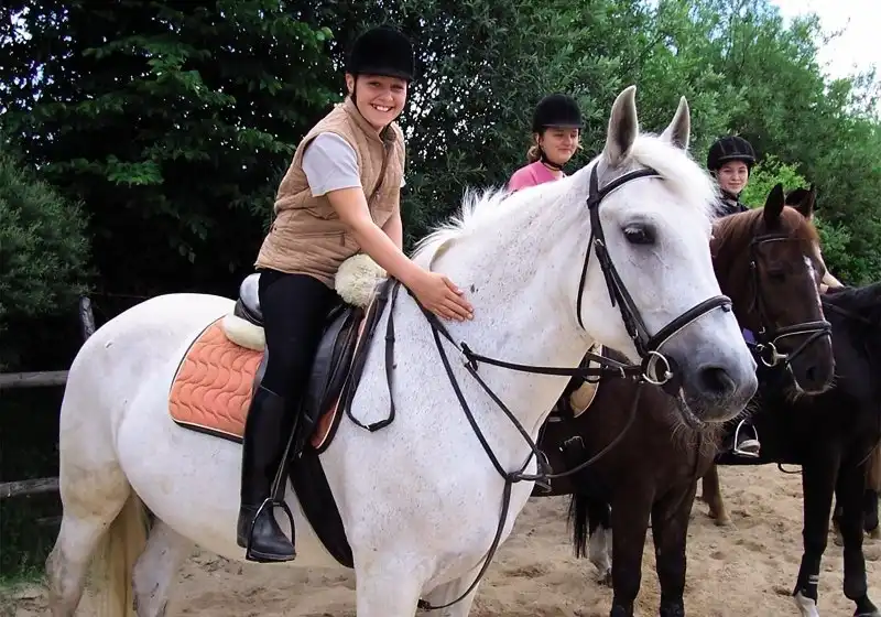 Impression - Urlaub Reiterhof