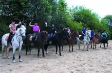 Impression - Runding Reiterhof