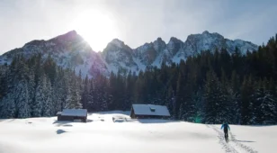 Angebotsbild