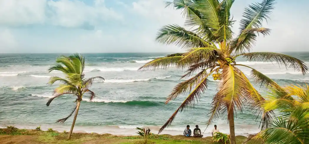 Foto - Rundreise Sri Lanka