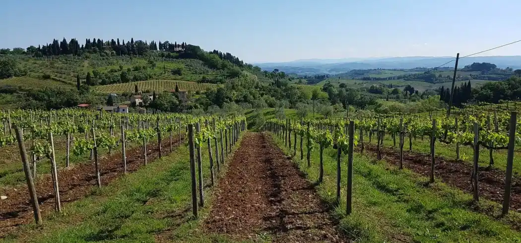 Foto - Rundreise Durch