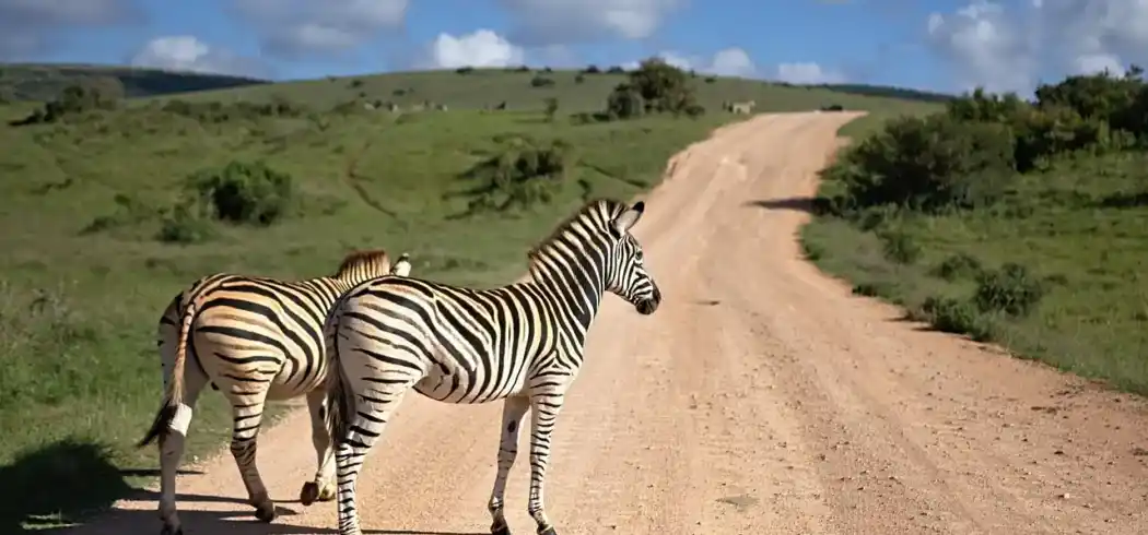 Foto - Rundreise Durch