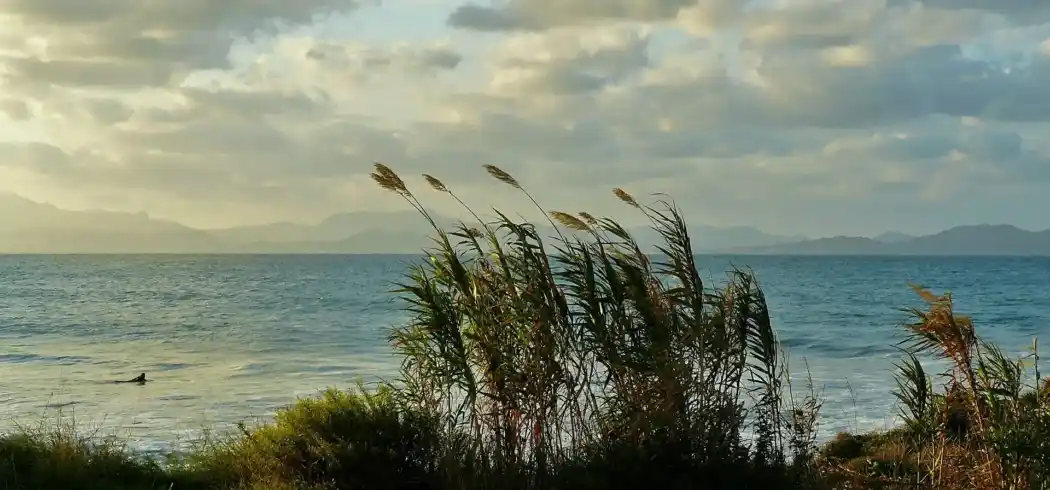 Foto - Rundreise Entlang