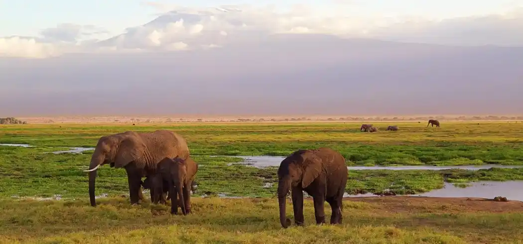 Foto - Rundreise Namibia