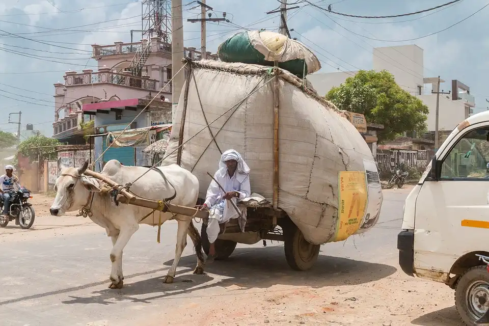 Aufnahme - Rundreise Prachtvolles