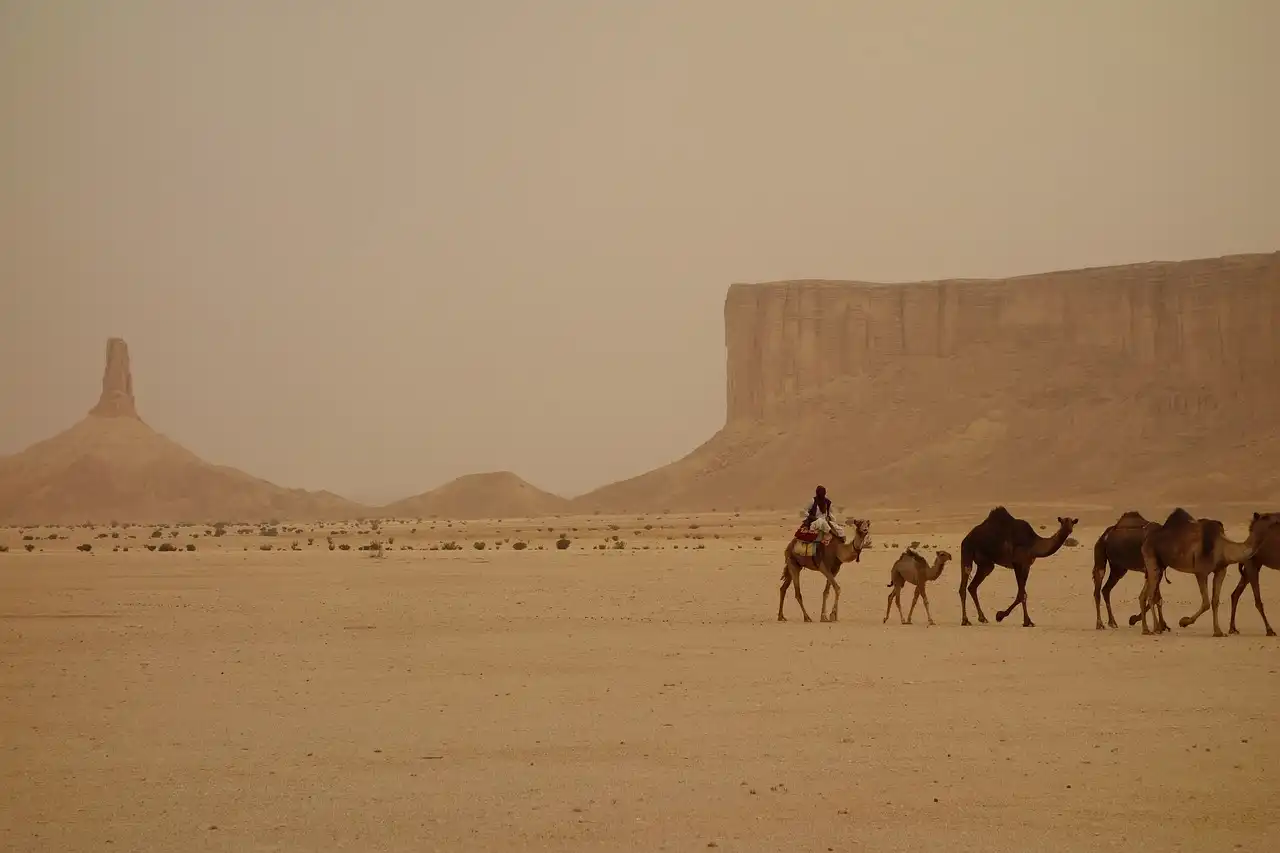 Impression - Rundreise Saudiarabien