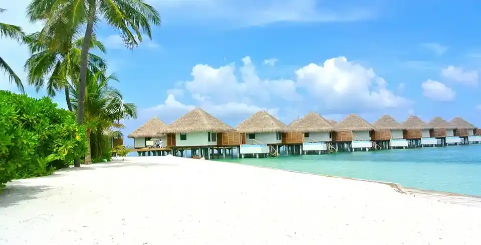 Foto - Rundreise Sri