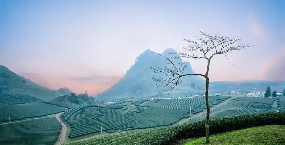 Foto - Rundreise Vietnam