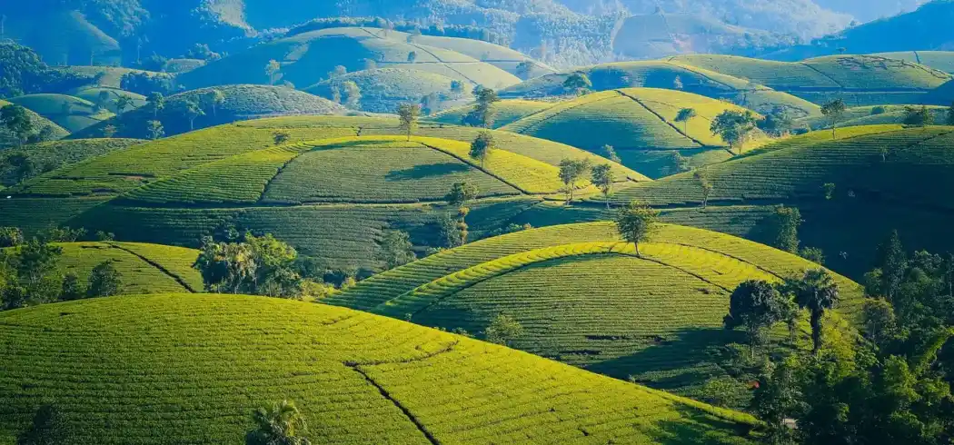 Rundreise Vietnam - Bild 1