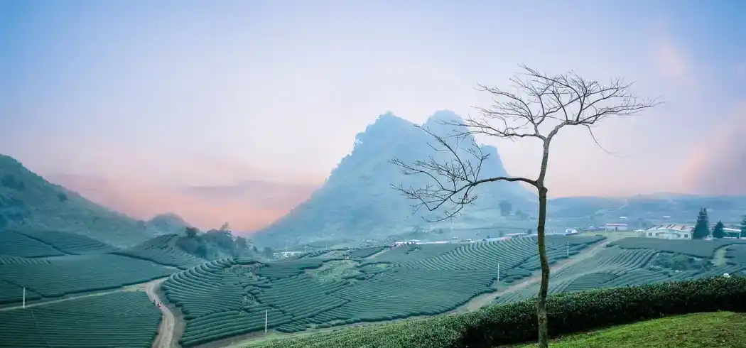 Rundreise Vietnam - Bild 3