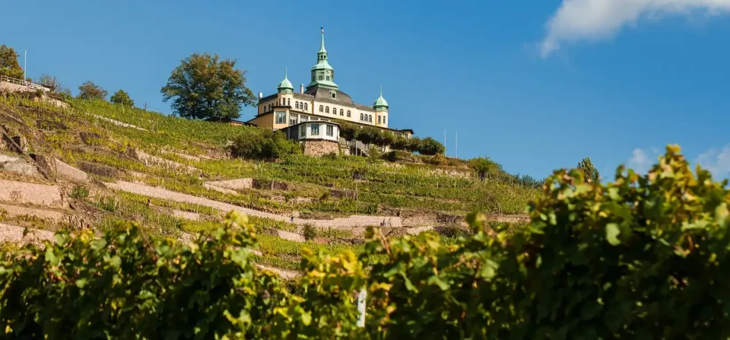 Foto - Dresden Radebeul