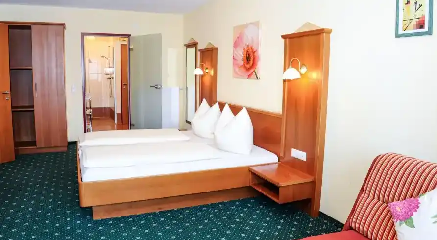 Salzburger Land - Bild 2