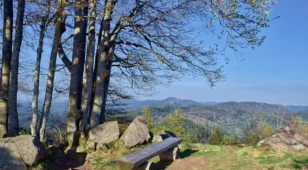 Angebotsbild