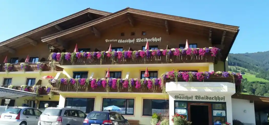 Salzburger Land - Bild 2