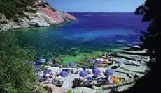 Aufnahme - Sardinen All