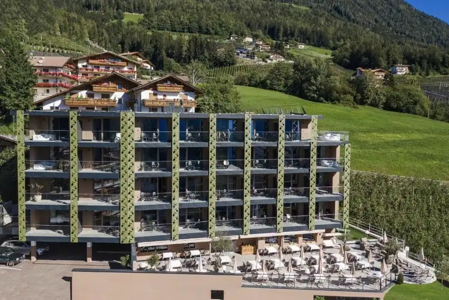 Aufnahme - Schenna Oliven